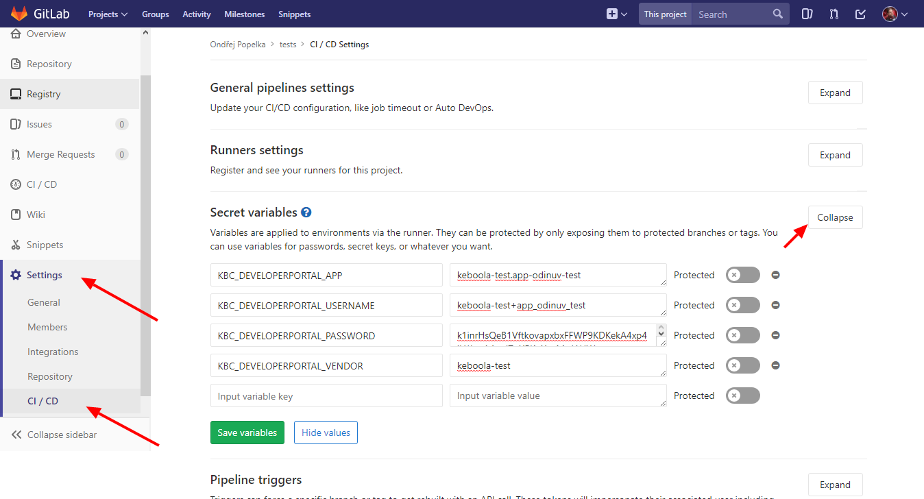 Screenshot -- GitLab Environment Variables